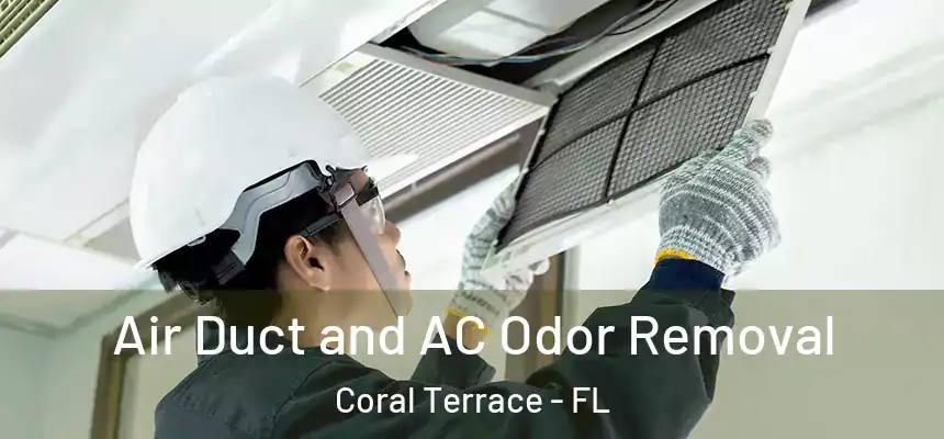Air Duct and AC Odor Removal Coral Terrace - FL