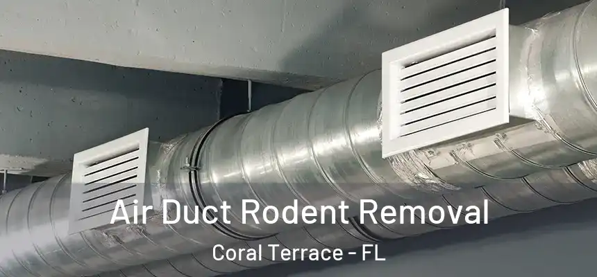 Air Duct Rodent Removal Coral Terrace - FL