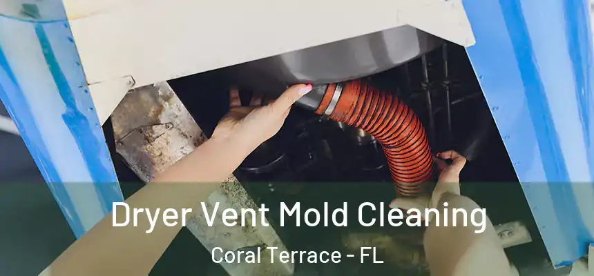 Dryer Vent Mold Cleaning Coral Terrace - FL