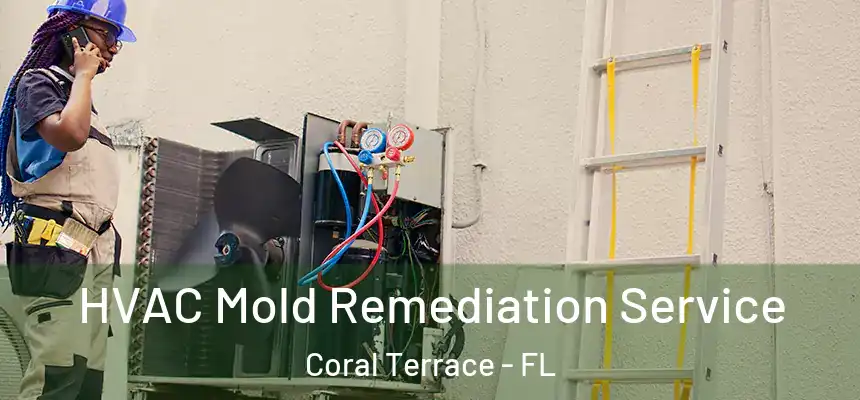 HVAC Mold Remediation Service Coral Terrace - FL