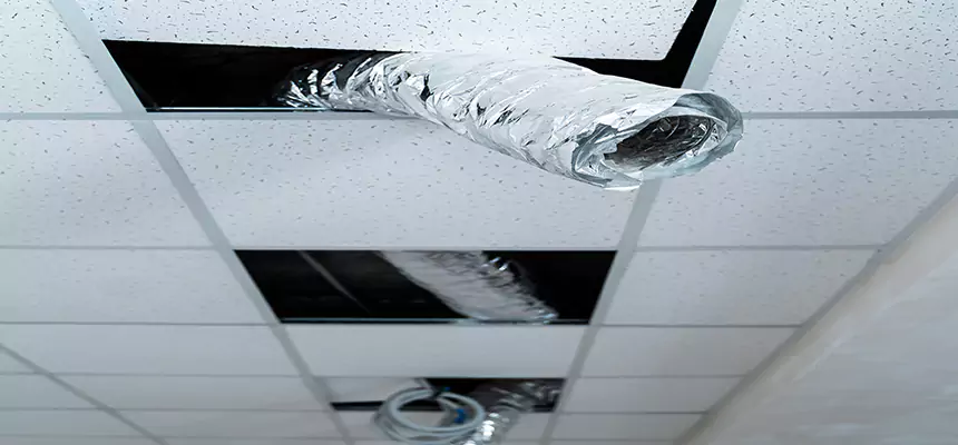 Affordable HVAC Sanitizing After Pest Removal in Coral Terrace