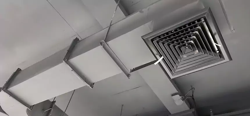 Restorative Allergy Relief Vent Cleaning – Coil, Blower & Housing Detail in Coral Terrace