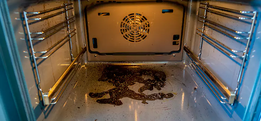 Our Dryer Vent Mold Cleaning Services in Coral Terrace, FL