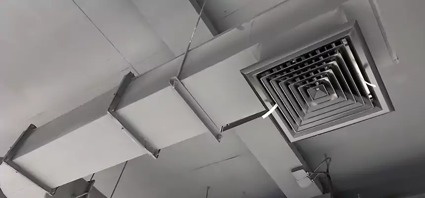 Our Pest Removal From Ducts Services in Coral Terrace, FL