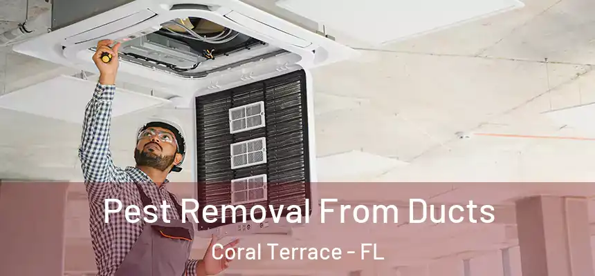 Pest Removal From Ducts Coral Terrace - FL