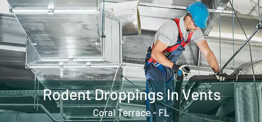 Rodent Droppings In Vents Coral Terrace - FL