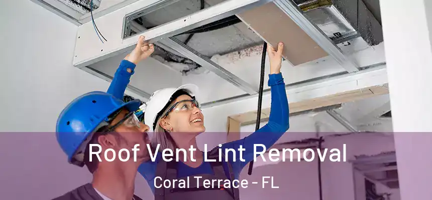 Roof Vent Lint Removal Coral Terrace - FL
